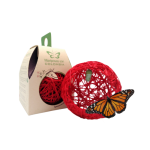 CRISALIDA DE MARIPOSA - NACIMIENTO DE UNA MARIPOSA DE COLORES