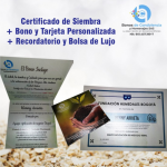 Certificado de Siembra + Tarjeta + Recordatorio y Bolsa de Lujo
