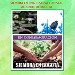 Bono de condolencia y Arbol en Bogotá - Bono exequial