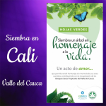 Bono de Hojas Verdes - Cali
