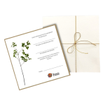 BONO DORADO - FUNDACION FORMEMOS