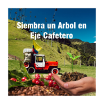 Armenia, Siembra un Arbol en Conmemoración, Árboles para la Vida