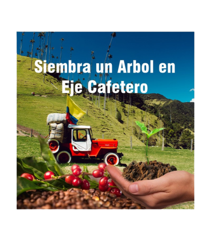 Armenia, Siembra un Arbol en Conmemoración, Árboles para la Vida