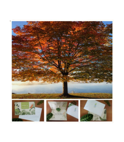 Arbol Sembrado + Certificado Físico