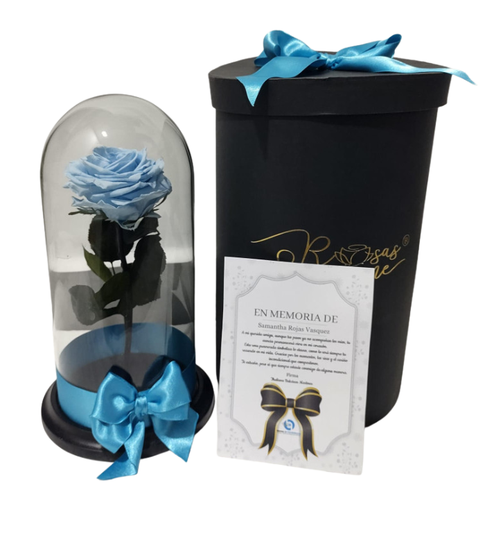 Rosa Preservada CALI Rosa Preservada CALI - Imagen 1