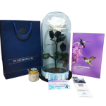 Rosa Preservada de Condolencia