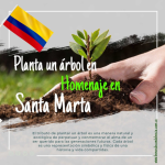 Siembra Árboles en Santa Marta