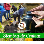 Siembra de Cenizas en Bogotá