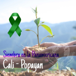 Siembra en Cali y Popayan