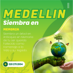 Siembra un Árbol en Medellin
