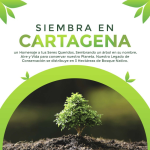 Un Árbol cerca al Mar